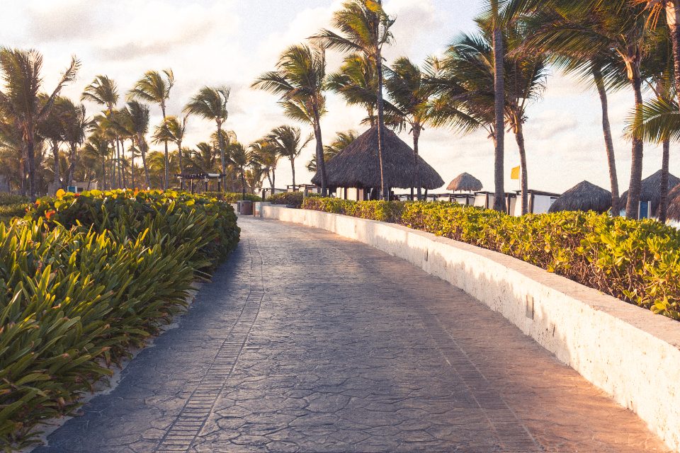 Pavimentación de vía en obra